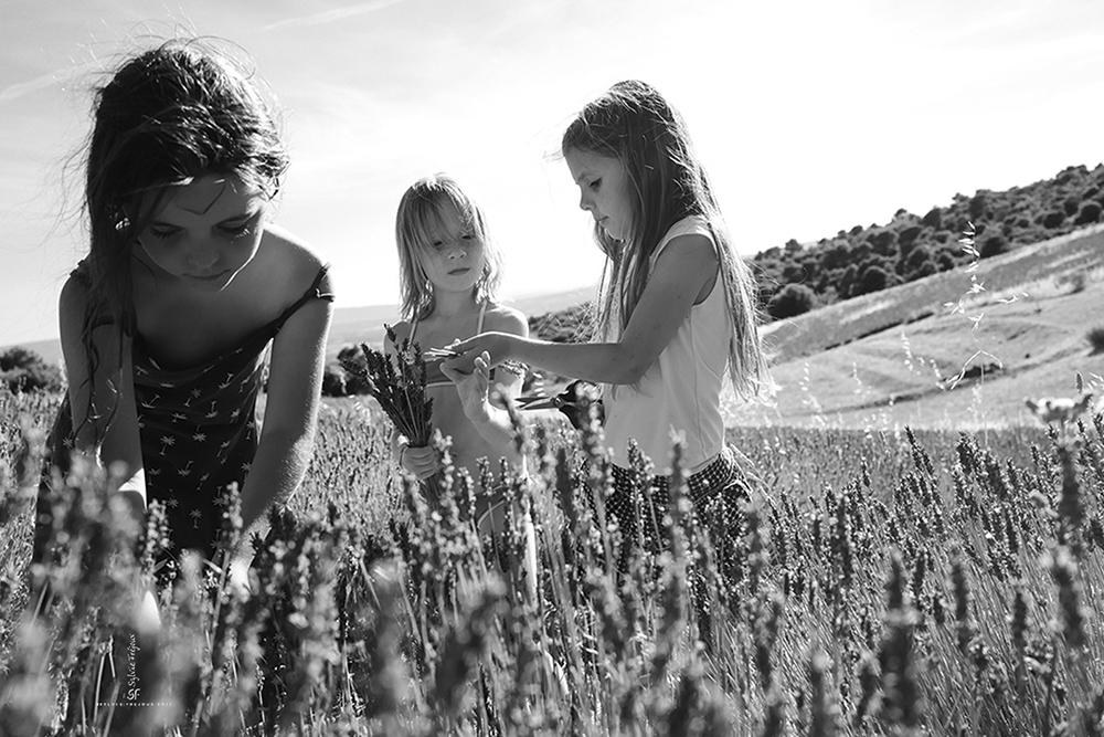 photographe famille et enfants à toulon