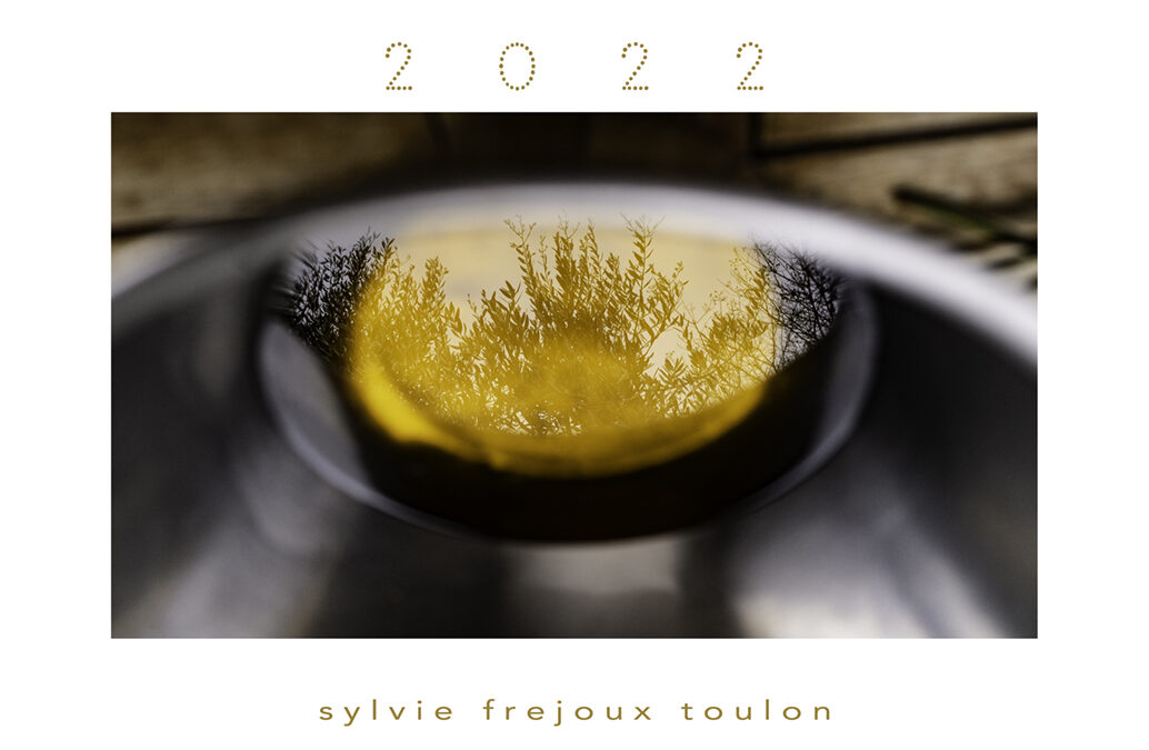 2 0 2 2  mes meilleurs vœux !